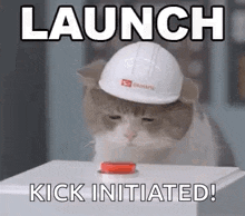 Cat Launch GIF - Cat Launch Button GIFs