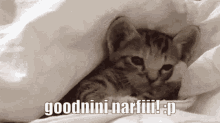 Goodnight Narfi GIF - Goodnight Narfi GIFs