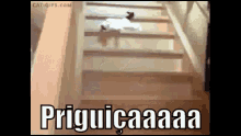 Priguiçaaaaa GIF - Prigui Preguica Sono GIFs
