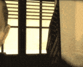 a man stands in front of a window with a flag behind him