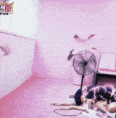 a woman is laying on the floor in front of a fan with pink written on the wall