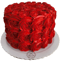 a cake with red frosting and the name juliana castro