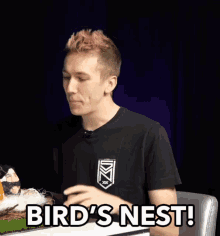 birds nest guessing unsure nest miniminter