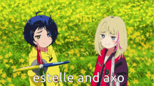 two anime girls are standing in a field with the words estelle and axo written on the bottom