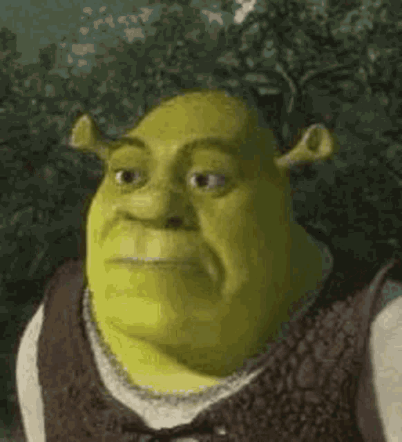 Shrek Shocked GIF - Shrek Shocked OhNo - Discover & Share GIFs