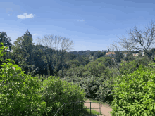 a tower is visible in the distance behind a lush green forest