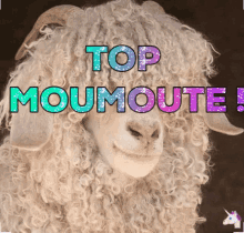 Top Moumoute Top GIF - Top Moumoute Top Moumoute GIFs