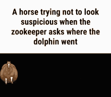 Horse Meme GIF - Horse Meme Dolphin GIFs
