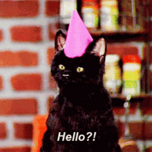 a black cat is wearing a pink party hat and says hello