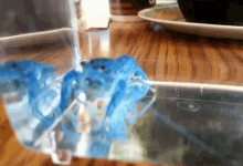 Lobster Eating GIF - Lobster Eating Electric GIFs