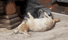 Raccoon And Fox Cuddle Time GIF - Raccoon And Fox Cuddle Time Snuggle Bear GIFs