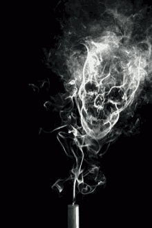 Smoke Skull GIF - Smoke Skull GIFs