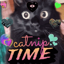 Catnip Time Cat GIF - Catnip Time Catnip Cat GIFs
