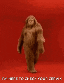 a bigfoot is walking with the words i 'm here to check your cervix