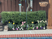 Bulb Garden GIF