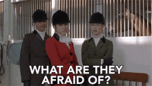 What Are They Afraid Of Scared GIF - What Are They Afraid Of Scared Threaten GIFs