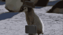Penguin Omw GIF - Penguin Omw Briefcase GIFs