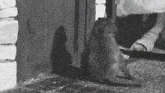 a black and white photo of a monkey sitting on a sidewalk