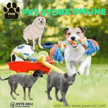 Pet Pet Food Online GIF - Pet Pet Food Online Cat GIFs
