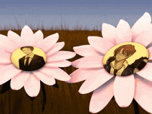 two pink daisies with a man and a woman in the center