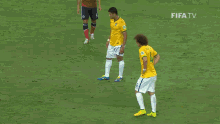 David Luiz David Luiz Goal GIF - David Luiz David Luiz Goal Fifa World Cup2014 GIFs
