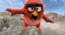 Angry Bird GIF