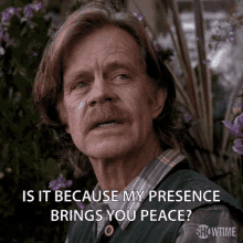 So Peaceful GIF - Shameless Is It Because My Presence Brings You Peace Peaceful GIFs