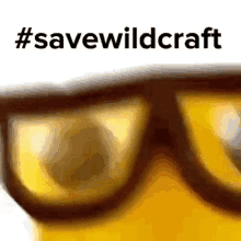Wildcraft Wildcrafteye GIF - Wildcraft Wildcrafteye Savewildcraft GIFs