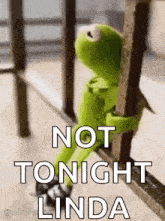 kermit the frog is sitting on a railing holding onto a railing and says `` not tonight linda '' .