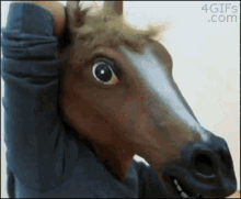 Horse Mask GIF - Horse Mask Horse Mask GIFs