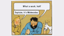 What A Week Tintin GIF - What A Week Tintin GIFs