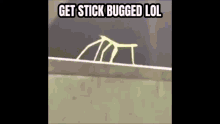 Stick Bugged Stick GIF - Stick Bugged Stick Bugged GIFs