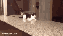 Longday Humpday GIF - Longday Humpday Cleansing GIFs