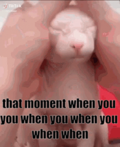 that moment when gif