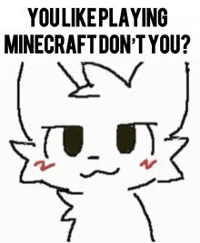 a drawing of a cat with the words you like playing minecraft don t you