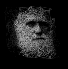 Darwin Face GIF - Darwin Face Art GIFs