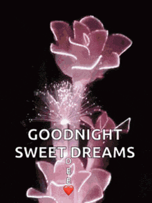 a goodnight sweet dreams greeting with a pink flower