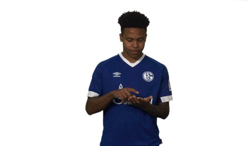 S04 Schalke Sticker - S04 Schalke Bundesliga Stickers