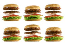 hamburger hamburgers burgers food fast food