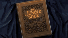 the jungle book intro book open