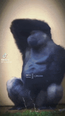 a gorilla is sitting in the grass and looking at the camera