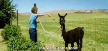 Eat The Food GIF - Napoleon Dynamite Llama Eat GIFs
