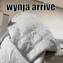 Wynja Arrive Raccoon GIF - Wynja Arrive Wynja Arrive GIFs