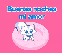 Buenas Noches Mi Amor GIF - Cat Buenas Noches Mi Amor GIFs