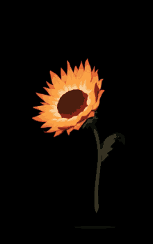 Sunflower Flower GIF - Sunflower Flower Happy GIFs