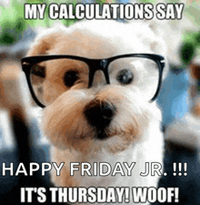 My Calculations Say Its Thursday Woof Luca GIF