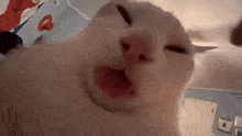 Blublu Cat GIF - Blublu Cat GIFs