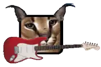 a cat is holding a red guitar in front of it