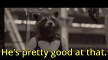 Endgame Rocket Raccoon GIF - Endgame Rocket Raccoon Pretty Good GIFs