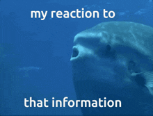 Sunfish Reaction Meme GIF - Sunfish Reaction Meme GIFs